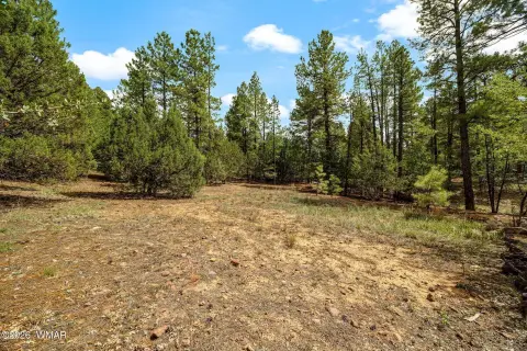 Residential Land Lot in 55+ Community