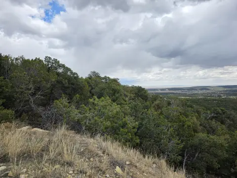 Land in Tijeras, New Mexico