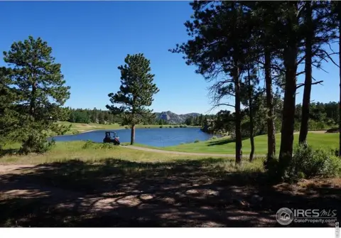 Red Feather Lakes Building Site