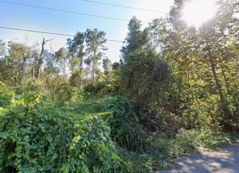 Tallahassee Land For Sale