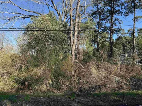 Residential Lots Near Andrews