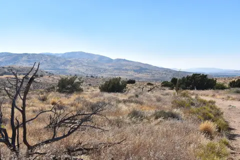 Palmdale Hills View Lot