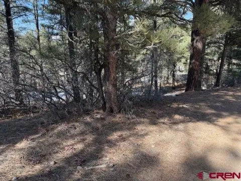 Wooded Lot in Pagosa Springs
