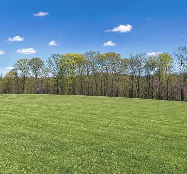 Residential Waterfront-Adjacent Lot