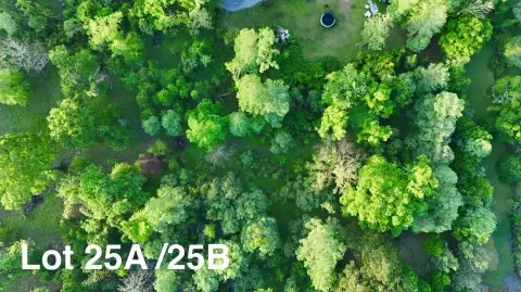 Prairieville Bayou-Front Land Opportunity