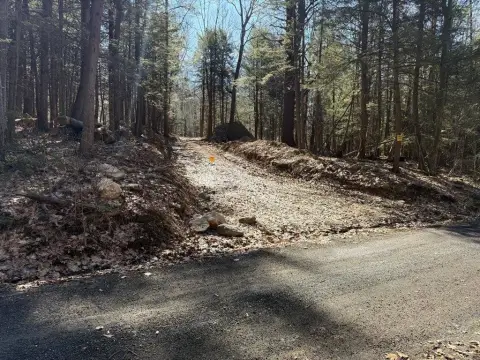 Expansive Land Parcel in Blandford