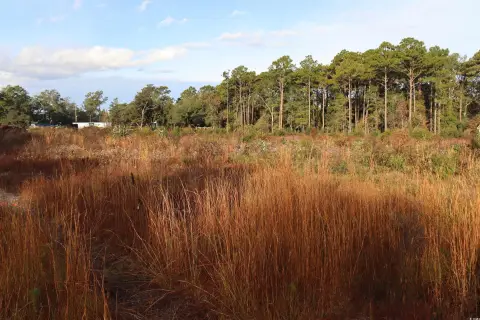 General Commercial Land