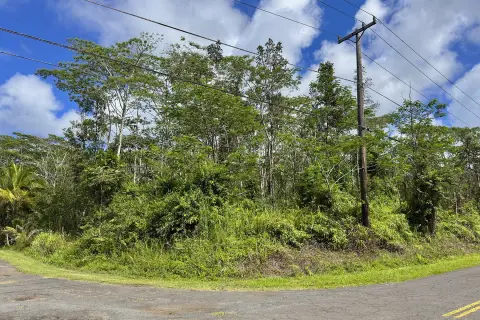 Wooded Corner Residential Lot