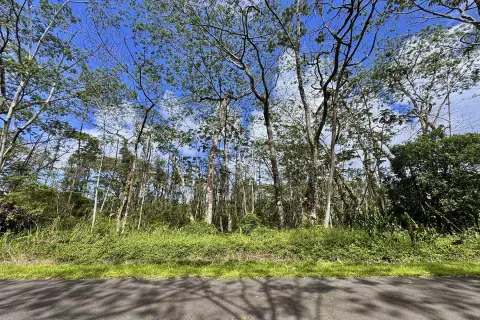 Corner Residential Lot in Nanawale Estates