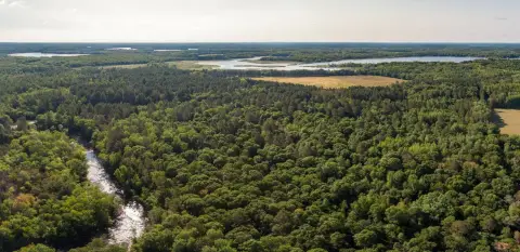 Crosslake Vacant Land Opportunity