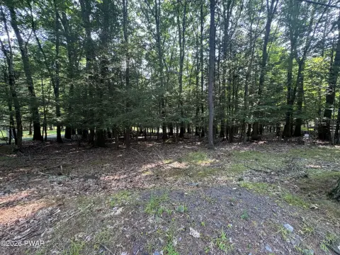 Waterfront Residential Development Lot