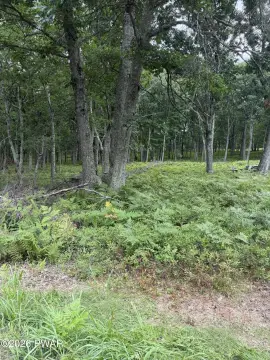 Residential Building Lot