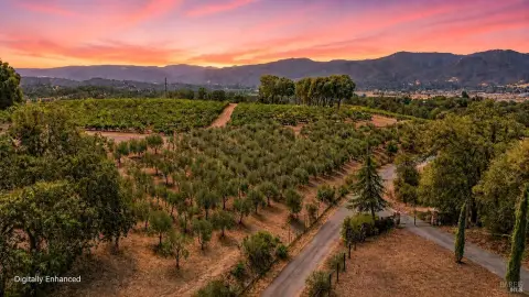 Vineyard Estate with Panoramic Views