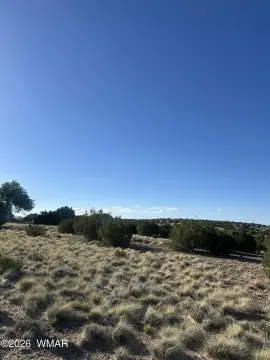 Concho Land with Open Views
