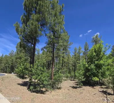 Lakeside Land in Gated Community