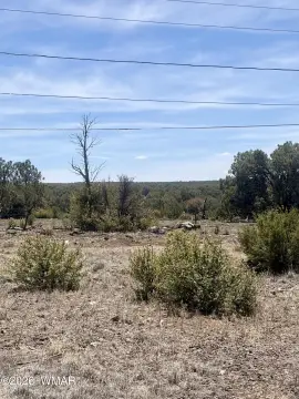 Level Lot with Mountain Views