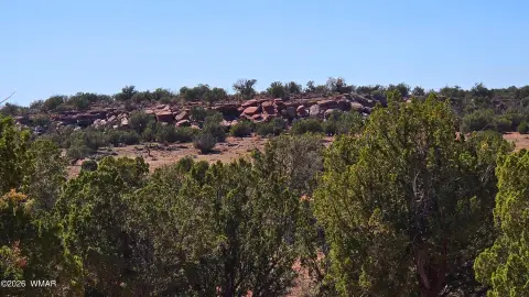 Expansive Land Parcel in Show Low