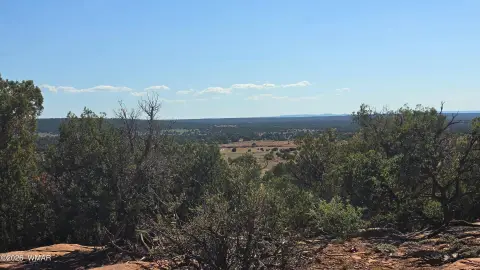 Expansive Land Parcel in Show Low