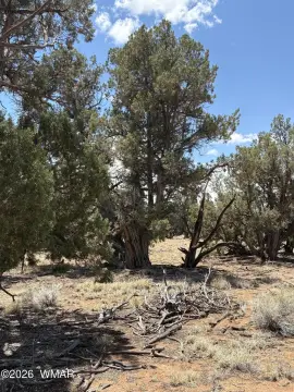 Concho, AZ Land Parcel