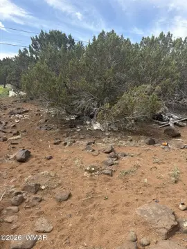 Show Low Land Opportunity