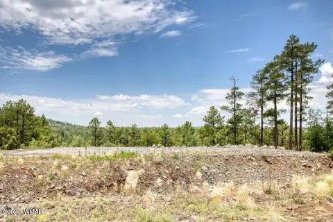 Pinetop Land with Mountain Views