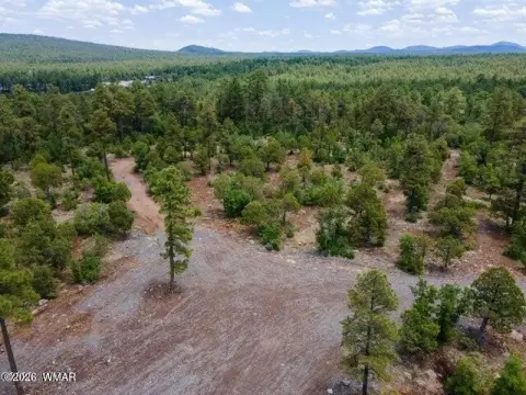 Pinetop Land with Rim Views