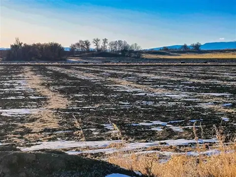 Productive Farmland Near Powell, Wyoming