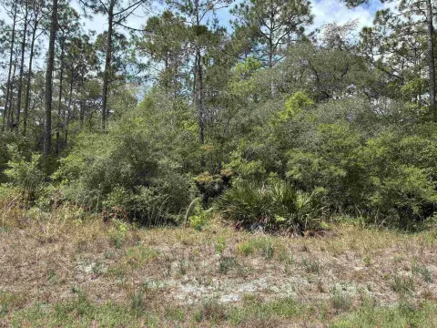 Homesite Near Ochlockonee Bay