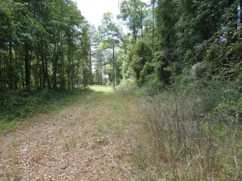 Land on Hwy-90, Monticello, FL