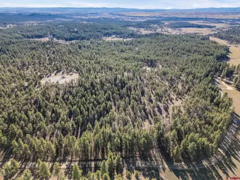 35 Acres Wooded Land, Durango