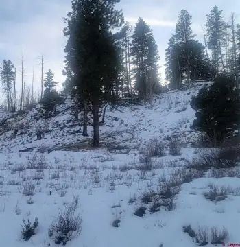 South Fork Mountain View Parcel