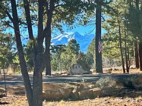 Residential Lot in Golf Community