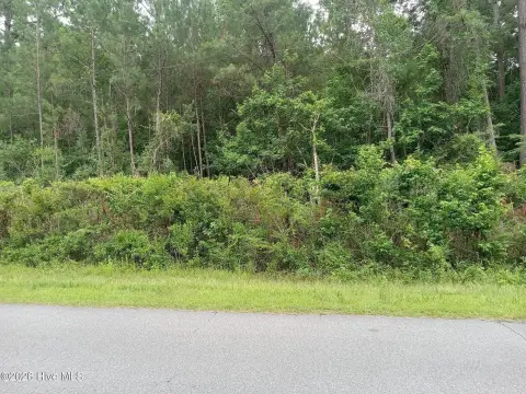 Wooded Lot Without HOA