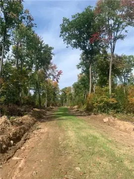 Dairyland Hunting Land For Sale