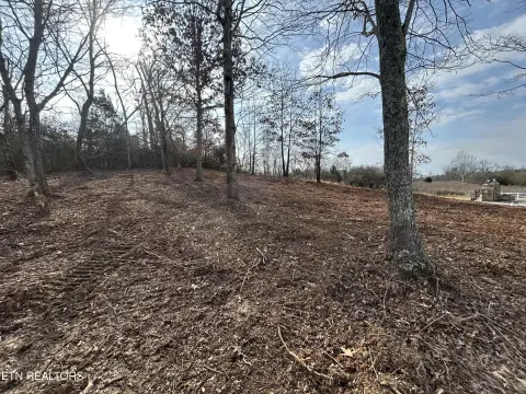 Rockwood, TN Land For Sale