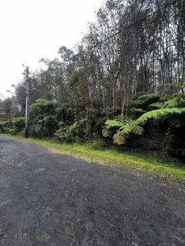 Wooded Residential Home Lot