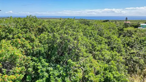 Residential Land Lot in Lava Zone 6