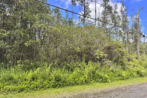 Wooded Residential Lot