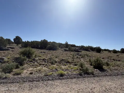 Concho, AZ Vacant Land