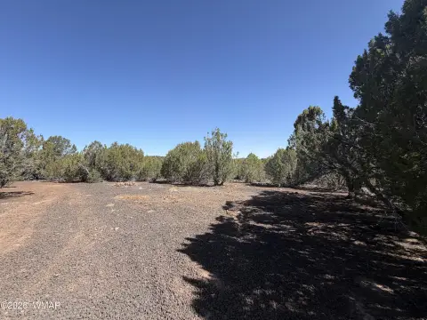 Vernon, AZ Treed Land Parcel
