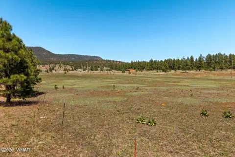Alpine, Arizona 1-Acre Parcel