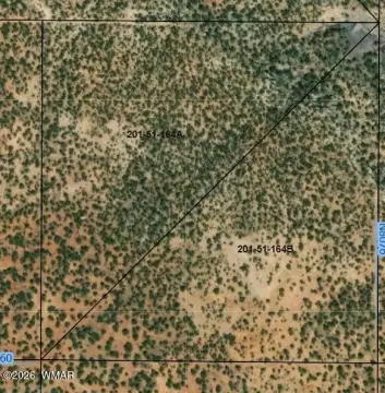 Arizona Land with Development Potential