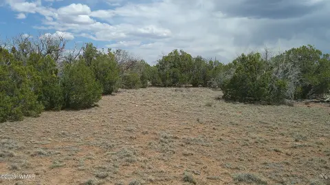 Concho, AZ Land For Sale