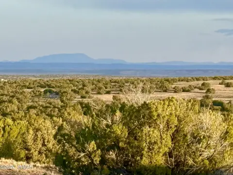 40 Acres in Red Sky Ranch