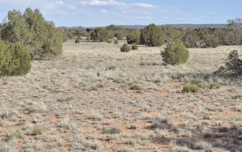 Concho, AZ Land For Sale