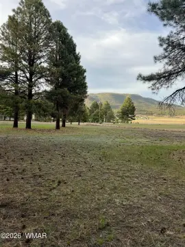 Corner Lot in Alpine Village