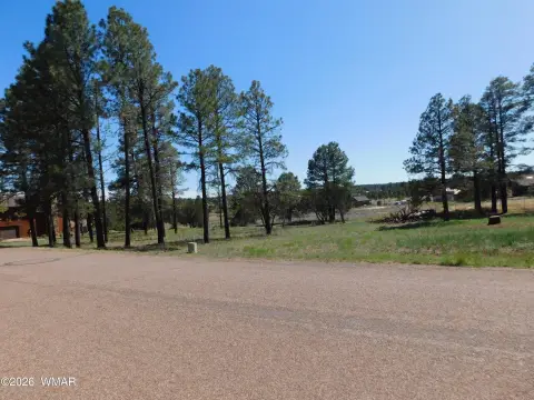 Overgaard, AZ Land For Sale