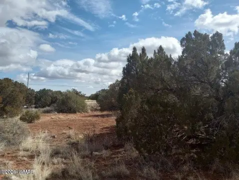Land in Snowflake, Arizona