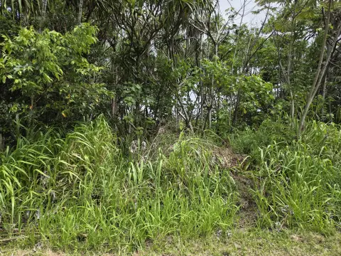 Kalapana Seaview Land For Sale
