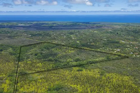 104+ Acre Hawaiian Forest Parcel